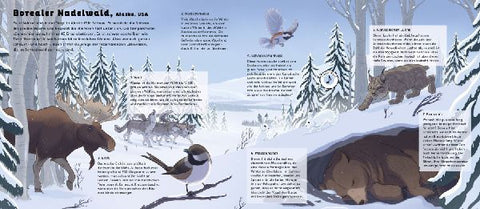 9783791374383 - Sample content