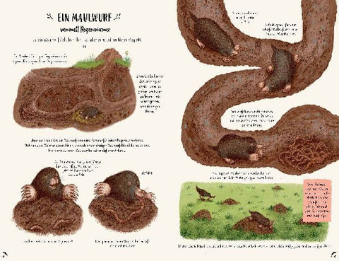 9783791374475 - Sample content