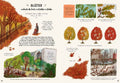 9783791374475 - Sample content