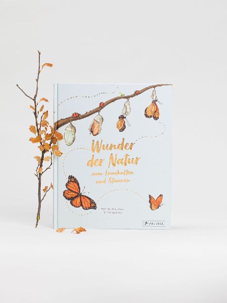 9783791374475 - Sample content