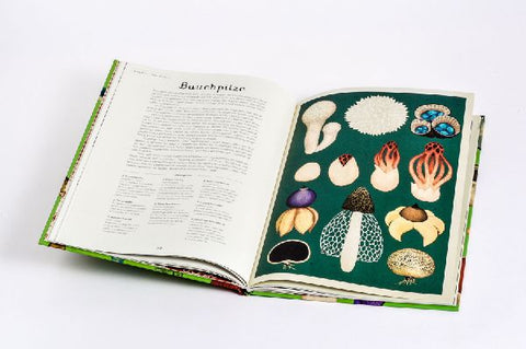 9783791374529 - Sample content