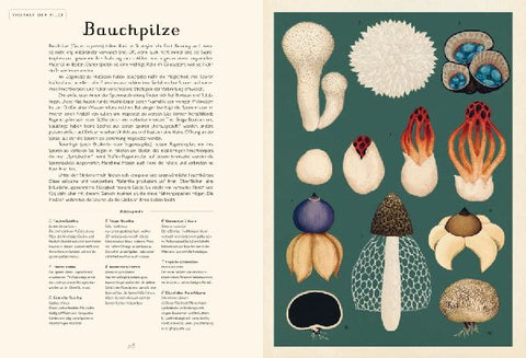 9783791374529 - Sample content