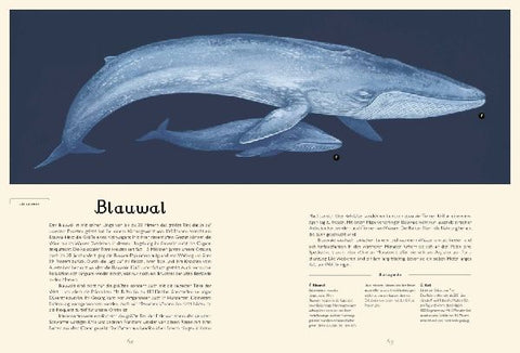 9783791374628 - Sample content