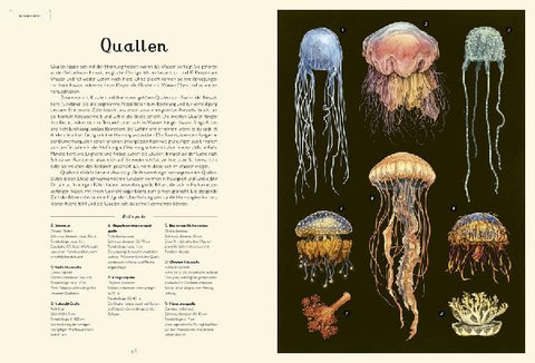 9783791374628 - Sample content