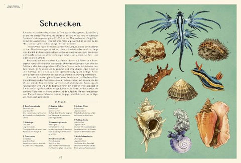 9783791374628 - Sample content