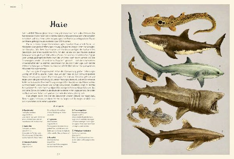 9783791374628 - Sample content