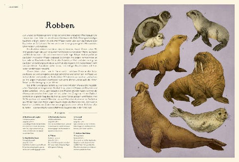 9783791374628 - Sample content