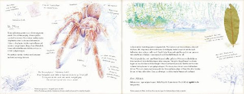 9783791375151 - Sample content