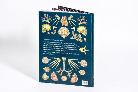 9783791375298 - Sample content