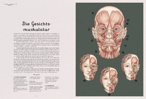 9783791375298 - Sample content