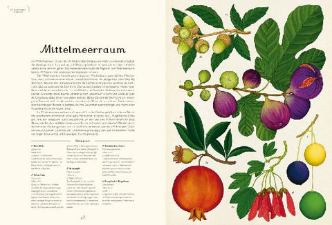 9783791375540 - Sample content