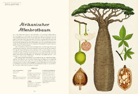 9783791375540 - Sample content