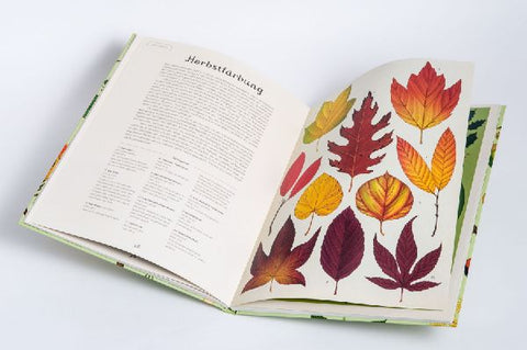 9783791375540 - Sample content