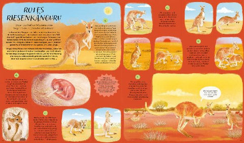 9783791375632 - Sample content