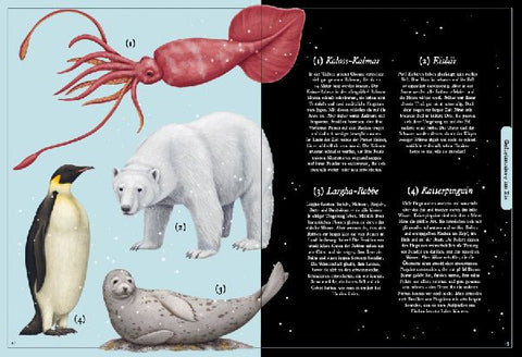 9783791375847 - Sample content