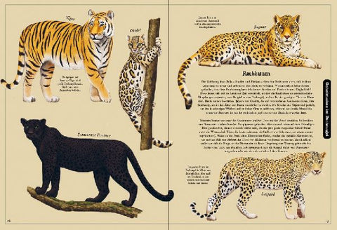 9783791375847 - Sample content