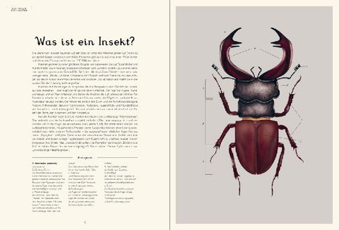 9783791375861 - Sample content