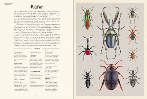 9783791375861 - Sample content