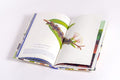 9783791376066 - Sample content