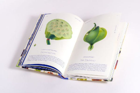 9783791376066 - Sample content