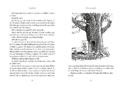 9783791513393 - Sample content