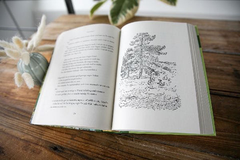 9783791513393 - Sample content