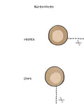 9783809441519 - Sample content