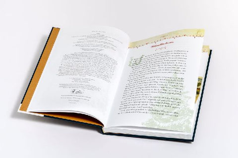 9783809449034 - Sample content