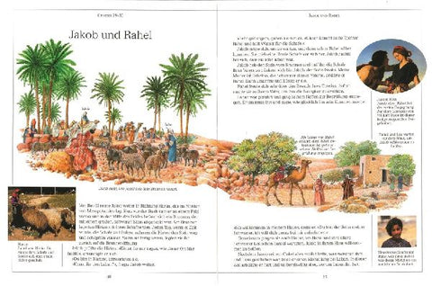 9783831019205 - Sample content