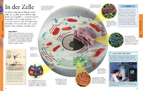 9783831022892 - Sample content