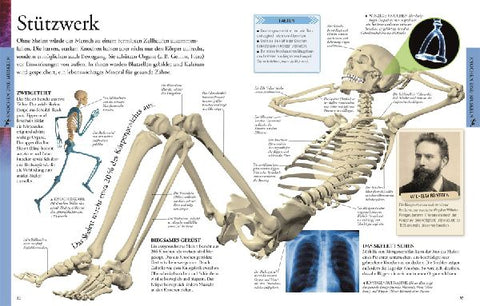 9783831022892 - Sample content