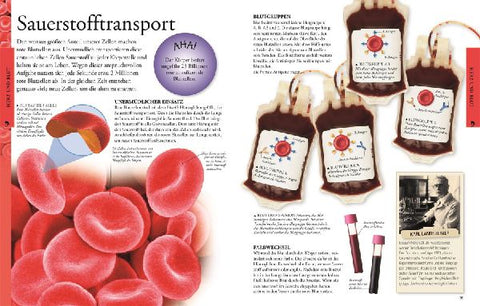 9783831022892 - Sample content