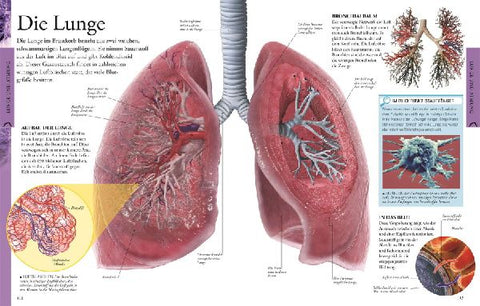 9783831022892 - Sample content