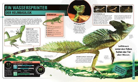 9783831024100 - Sample content