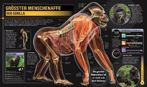 9783831024100 - Sample content