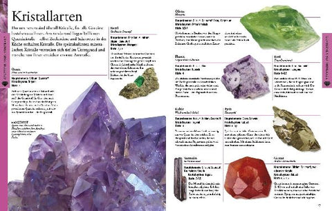 9783831024117 - Sample content