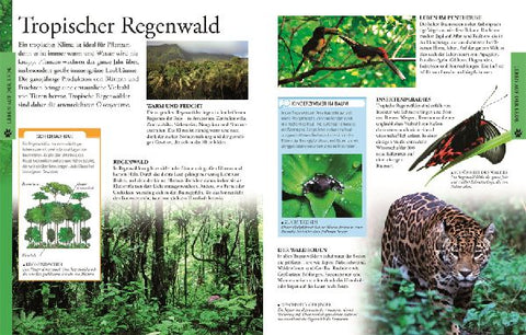 9783831024117 - Sample content