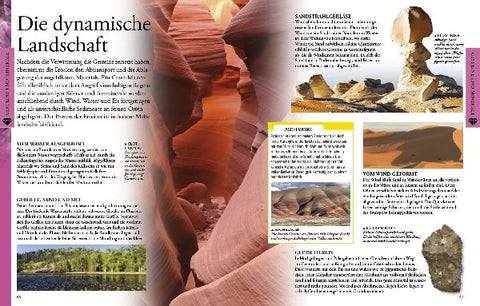 9783831024117 - Sample content