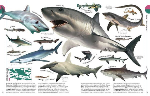 9783831026982 - Sample content