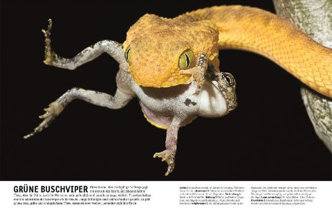 9783831026982 - Sample content