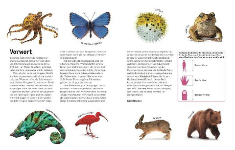 9783831026982 - Sample content