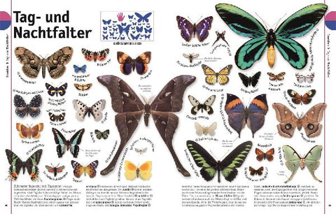 9783831026982 - Sample content