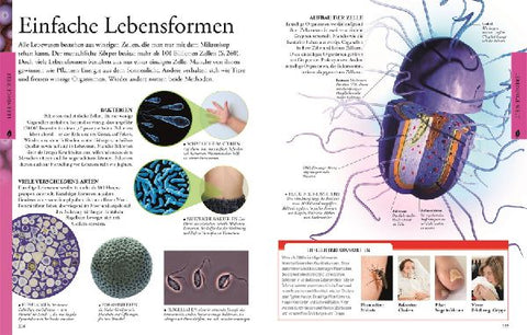 9783831028047 - Sample content