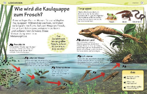 9783831028092 - Sample content