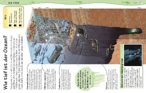 9783831028092 - Sample content