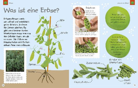 9783831029204 - Sample content