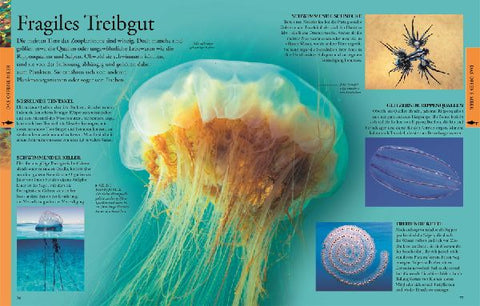 9783831032099 - Sample content