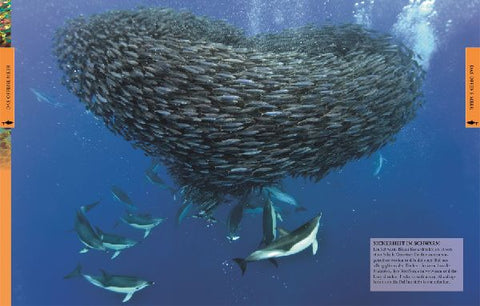 9783831032099 - Sample content