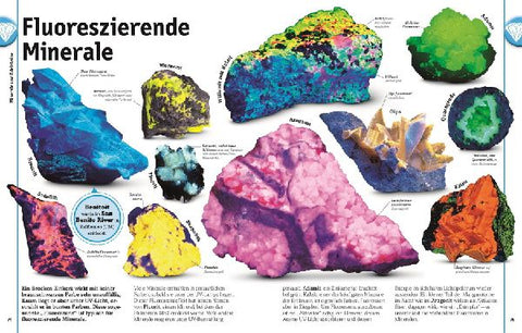 9783831032136 - Sample content