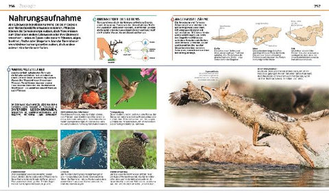 9783831033409 - Sample content